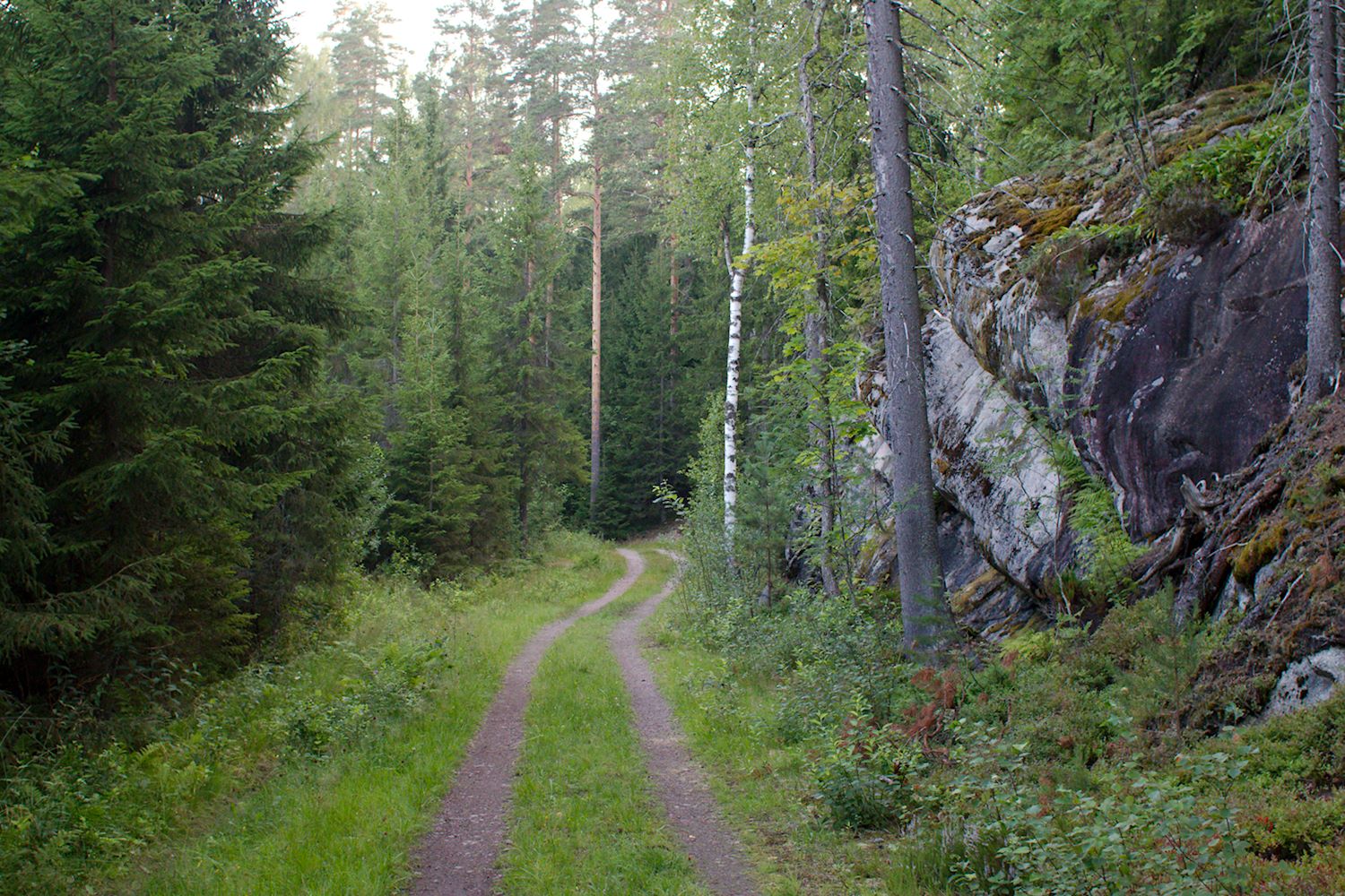 Latupohjaa Pirttimäen ja Luukin välillä, Reitti 2000